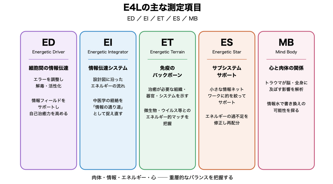 波動測定「E4L」について